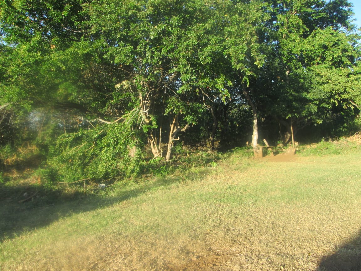CARRETERA SUR. LINDOS TERRENOS PLANOS Y BIEN UBICADOS EN VENTA