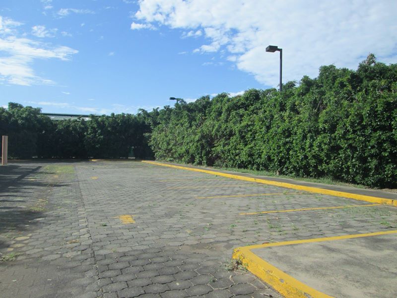 carretera-norte-kmcbienesraices-nicaragua-4353584 (20)