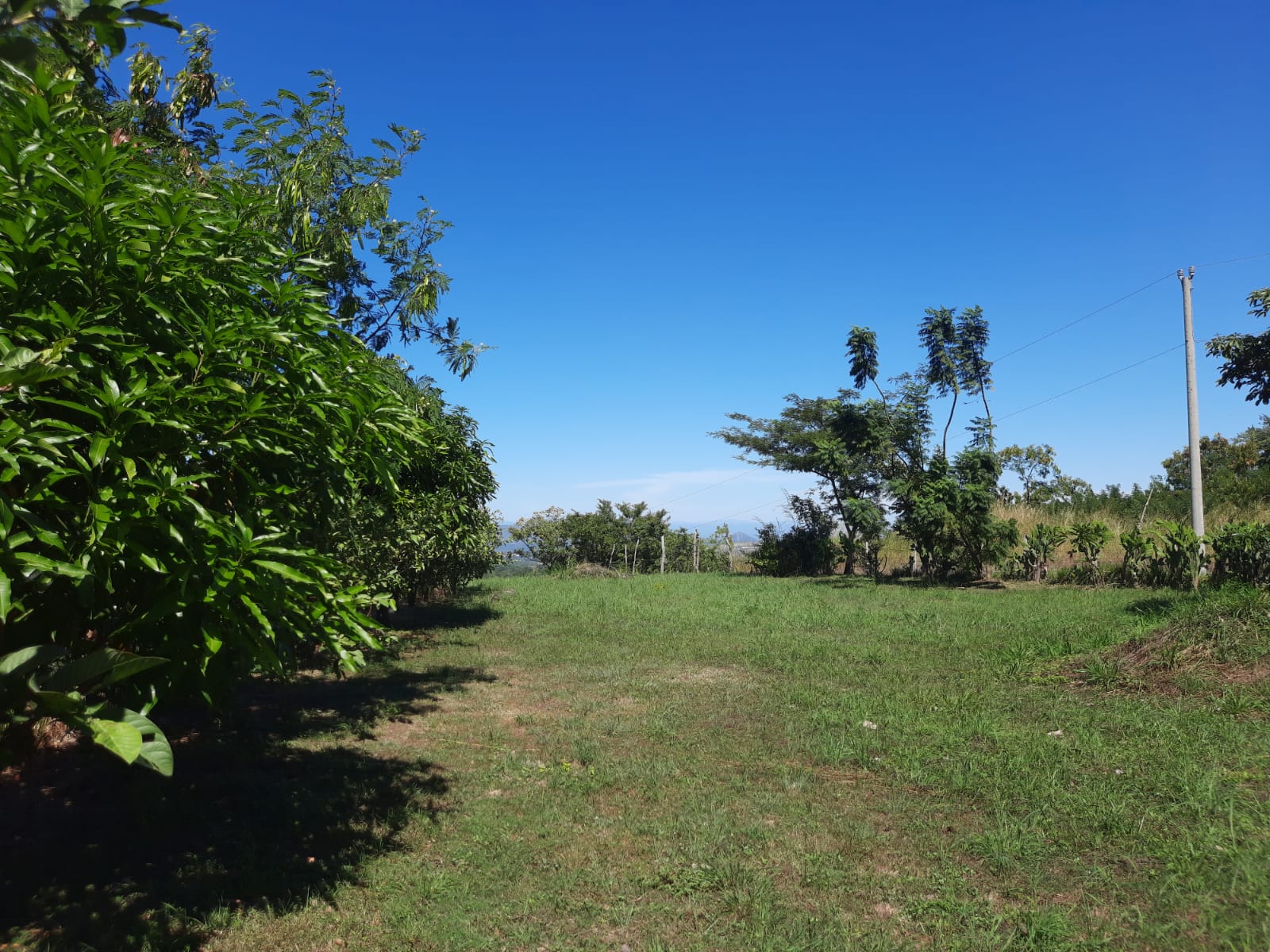 CARRETERA VIEJA A LEON. HERMOSO TERRENO CON 10,116 VR2 EN VENTA.