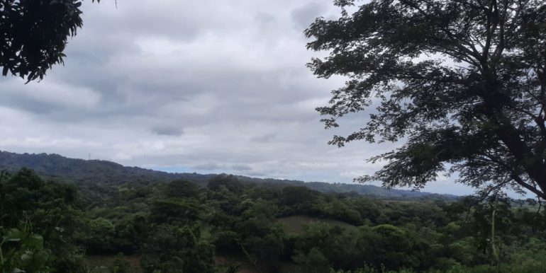 024523b7-0565-4aa2-aa60-b8d4088a3bf4