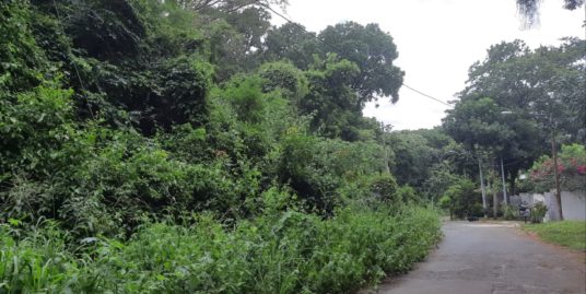 CARRETERA SUR. AMPLIO TERRENO 3,831.455 VR2 EN ZONA FRESCA EN VENTA.
