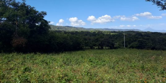 CARRETERA VIEJA LEÓN.  30 MANZANAS FÉRTIL E URBANIZABLES EN VENTA.