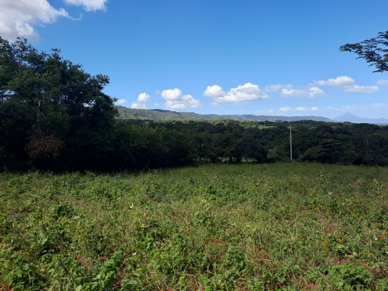 CARRETERA VIEJA LEÓN.  30 MANZANAS FÉRTIL E URBANIZABLES EN VENTA.