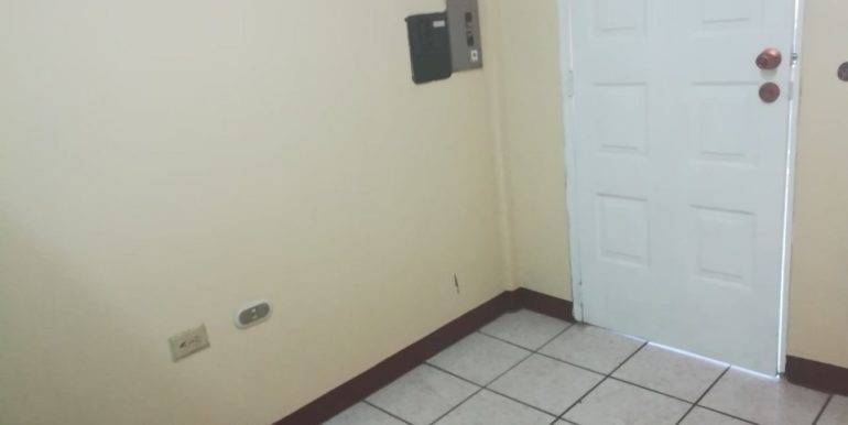 carretera-sur-kmc-bienes-raices-11448015-10