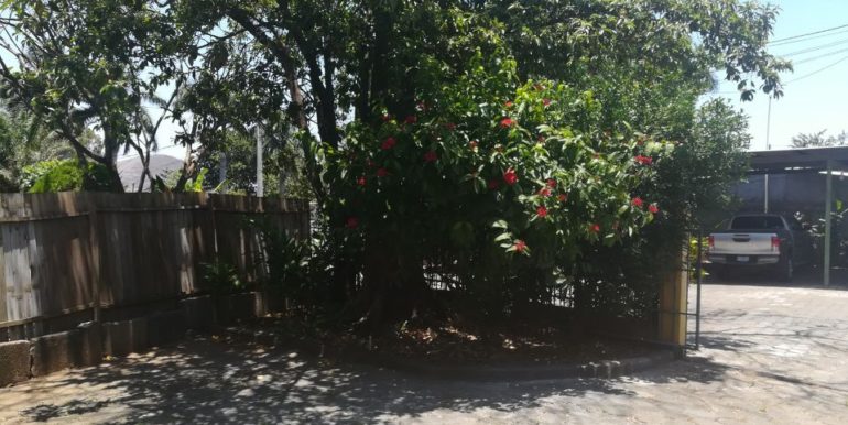 carretera-sur-kmc-bienes-raices-11448015-16