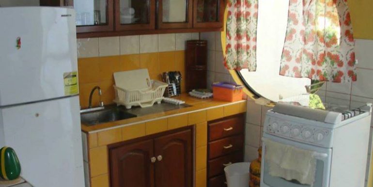 carretera-sur-kmc-bienes-raices-7436427-6