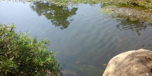 CASARES-DIRIAMBA HERMOSO TERRENO DE 10 MANZANAS EN VENTA.