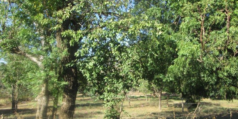 carretera-vieja-a-leon-kmc-bienes-raices-8225005-12