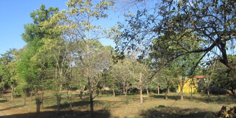 carretera-vieja-a-leon-kmc-bienes-raices-8225005-4