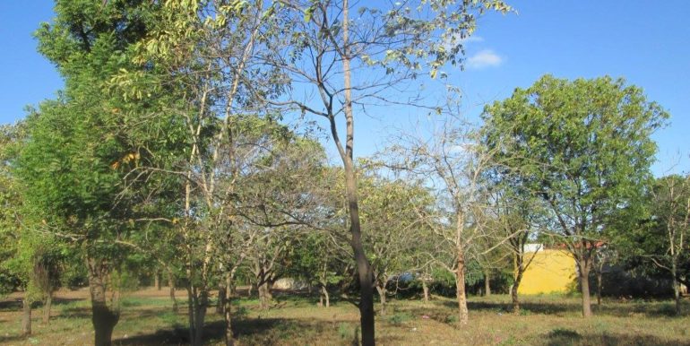 carretera-vieja-a-leon-kmc-bienes-raices-8225005-5