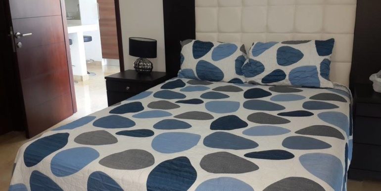 santo-domingo-kmc-bienes-raices-8937405-4