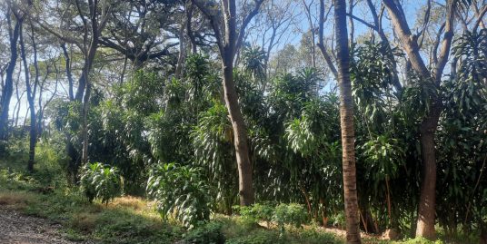 CARRETERA SUR. HERMOSO TERRENO DE 3,500 VR2 EN VENTA.