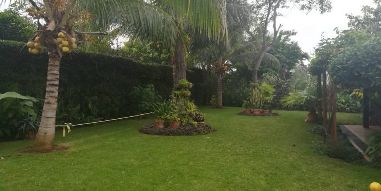 carretera-sur-kmc-bienes-raices-12223860-17