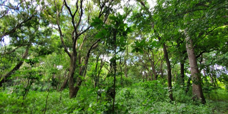 IMG-20230906-WA0089
