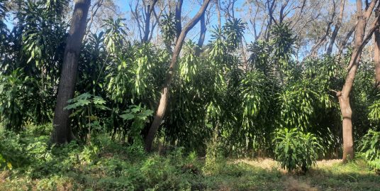 CARRETERA SUR. HERMOSO TERRENO DE 3,500 VR2 EN VENTA.