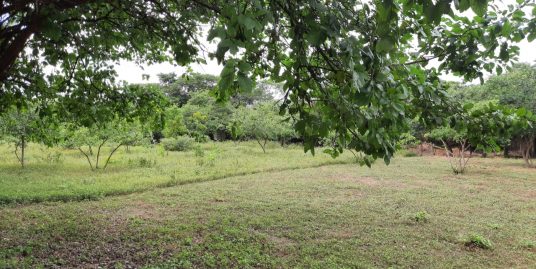 CARRETERA VIEJA LEÓN. DOS HERMOSOS TERRENOS 10,366.89 VR2 EN VENTA