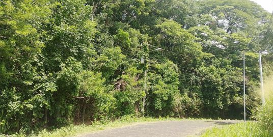 CARRETERA SUR. DOS HERMOSOS LOTES -TERRENOS EN VENTA