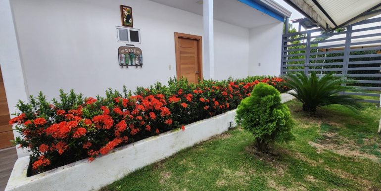 39fe4c04-1371-48a8-a066-9233d90ccaa8