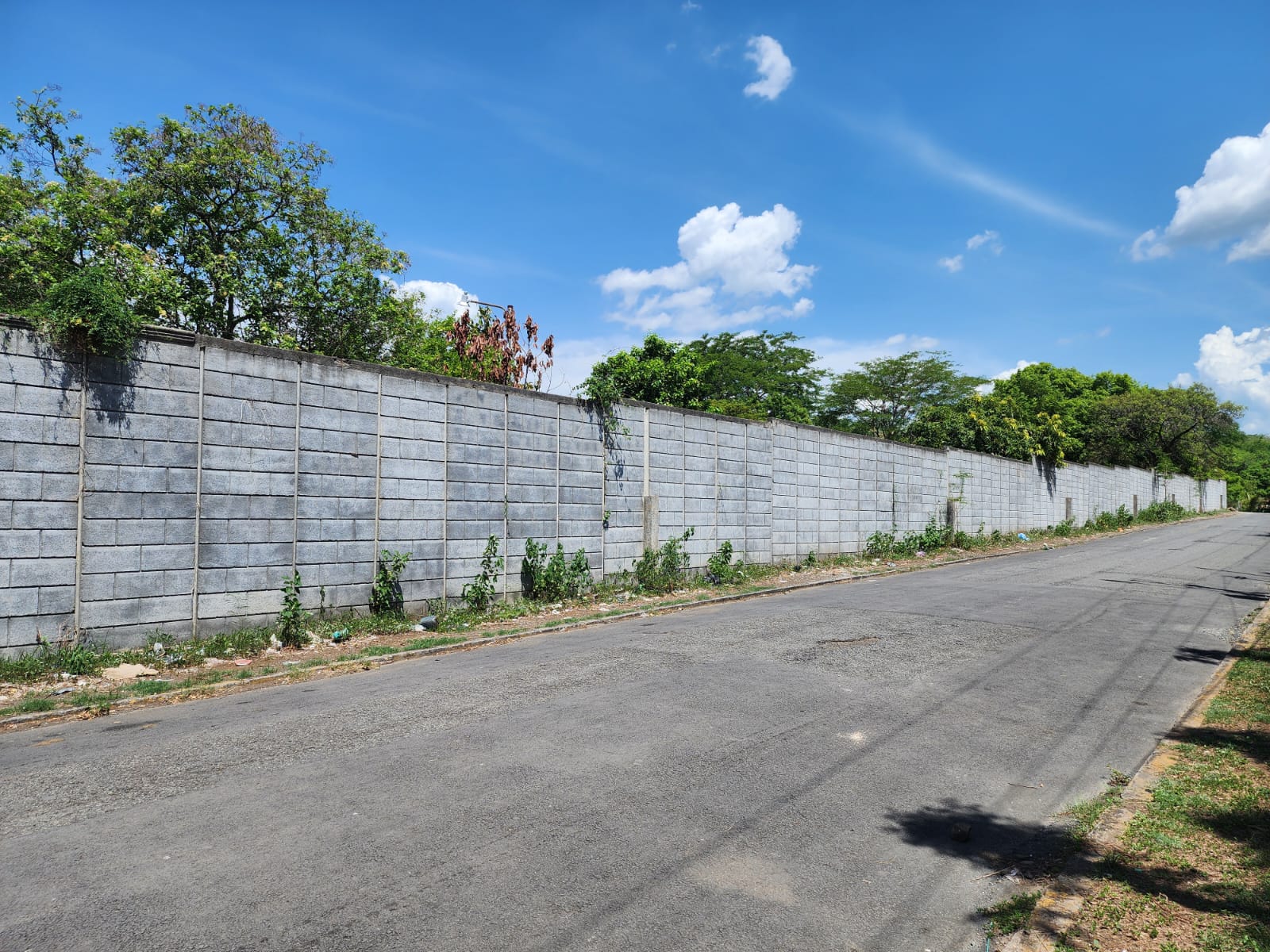 ¡NUEVO PRECIO! TRES HERMOSOS TERRENOS TOTAL 15,617.24 VR2 EN VENTA