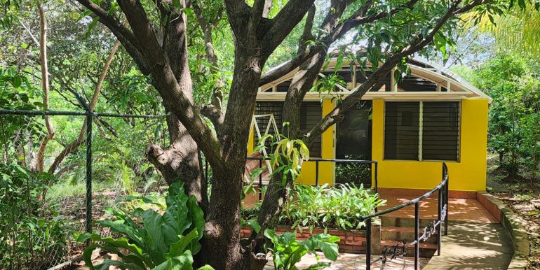 b15a14af-94e8-4070-b8d1-460346dbca29