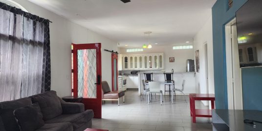 CARRETERA SUR. BONITO APARTAMENTO AMUEBLADO EN ALQUILER