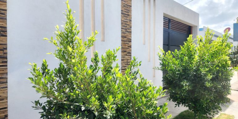 WhatsApp Image 2026-02-20 at 4.35.30 PM