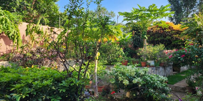 Imagen de WhatsApp 2024-05-08 a las 17.35.27_34700b72