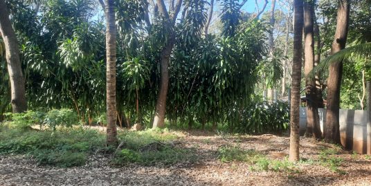 ¡OPORTUNIDAD ÚNICA! HERMOSO TERRENO 3,500 VRS2 EN VENTA.