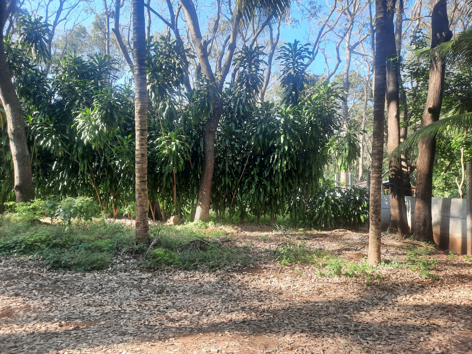 ¡OPORTUNIDAD ÚNICA! HERMOSO TERRENO 3,500 VRS2 EN VENTA.