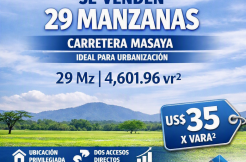 Propiedad: Oportunidad Única de Inversión en Carretera Masaya.